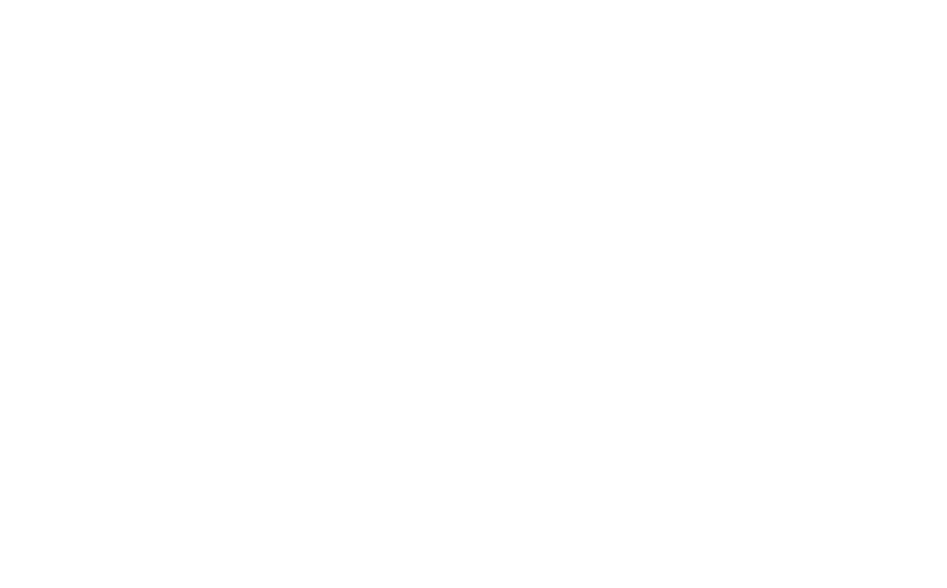 AURUM WHEELS
